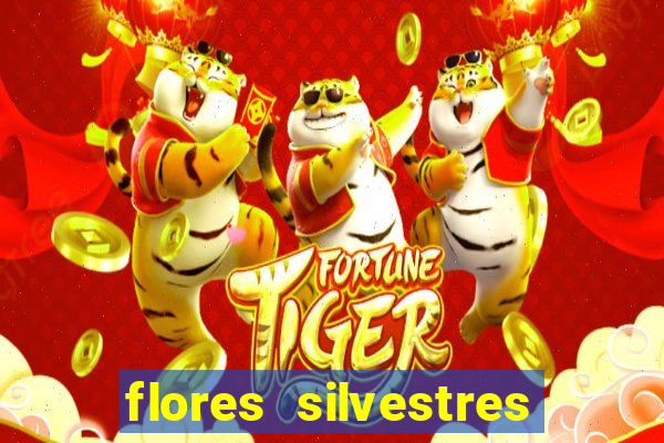 flores silvestres desbravadores desbravadores 25