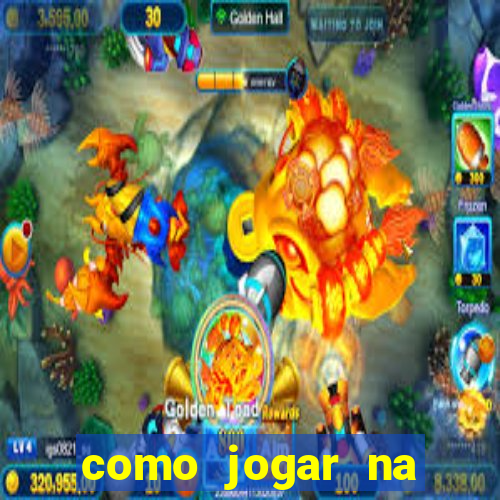 como jogar na teimosinha da lotofacil