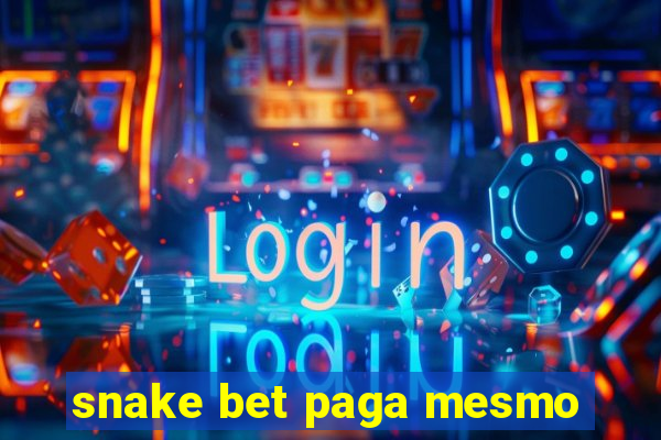 snake bet paga mesmo