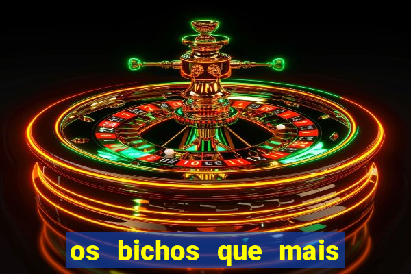 os bichos que mais saem na loteria federal