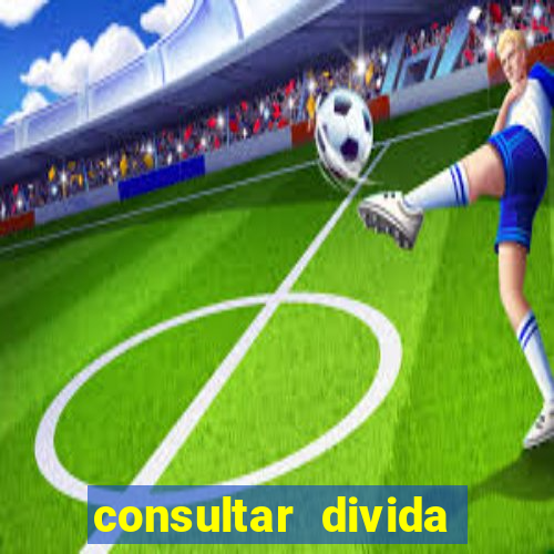 consultar divida casas bahia