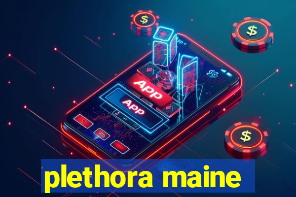 plethora maine