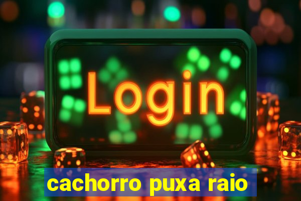 cachorro puxa raio