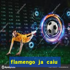 flamengo ja caiu para serie b
