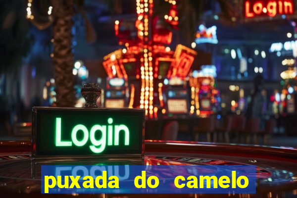 puxada do camelo jogo do bicho