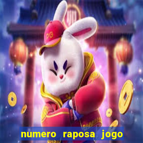 numero raposa jogo do bicho