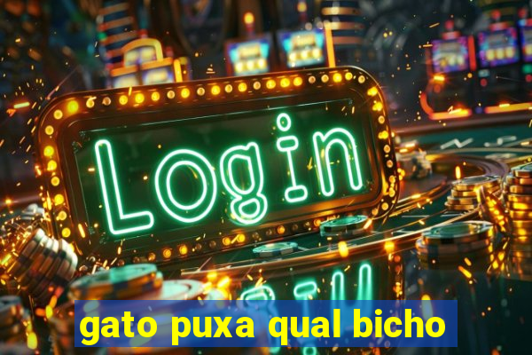 gato puxa qual bicho