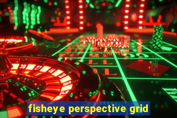 fisheye perspective grid