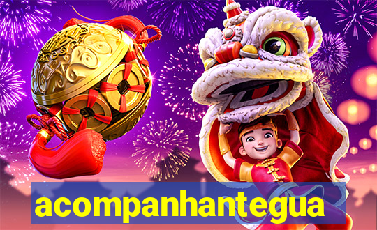 acompanhanteguanambi