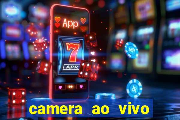 camera ao vivo terminal vila nova cachoeirinha