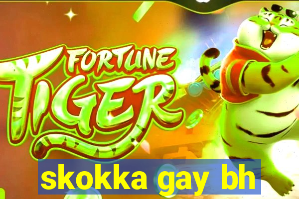 skokka gay bh