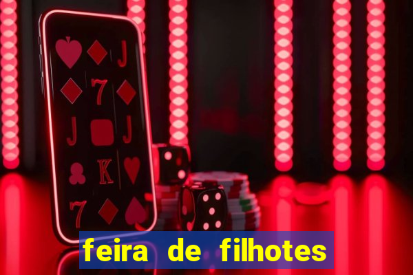 feira de filhotes porto alegre