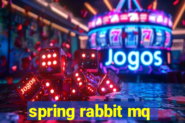 spring rabbit mq