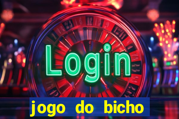 jogo do bicho crash bingo