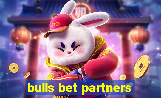bulls bet partners