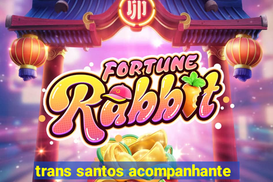 trans santos acompanhante