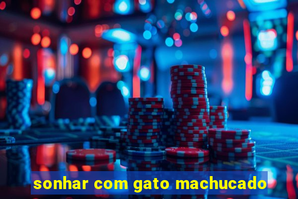 sonhar com gato machucado