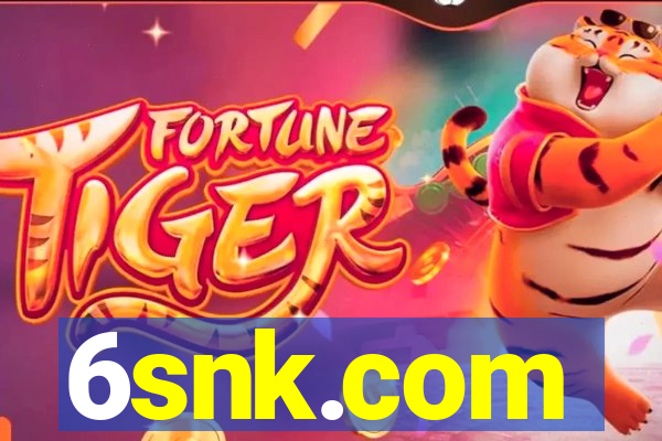 6snk.com