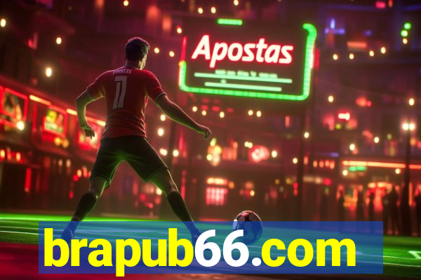 brapub66.com