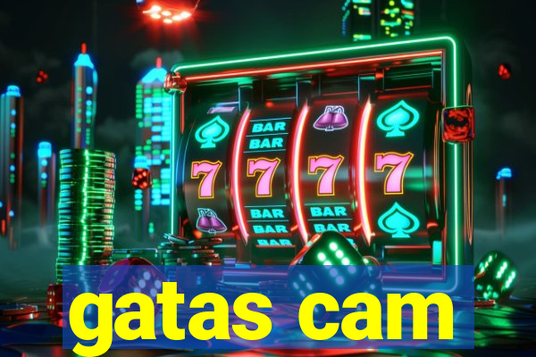 gatas cam