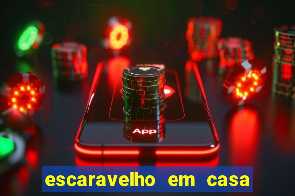 escaravelho em casa significado espiritual