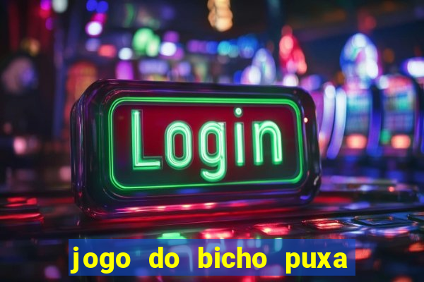 jogo do bicho puxa de dona maria
