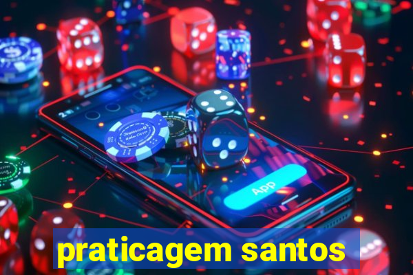 praticagem santos