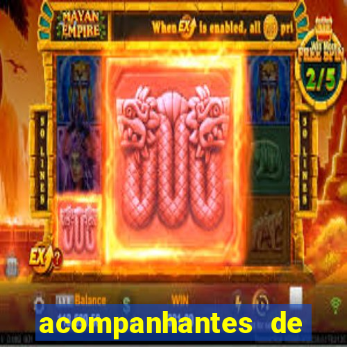 acompanhantes de porto seguro