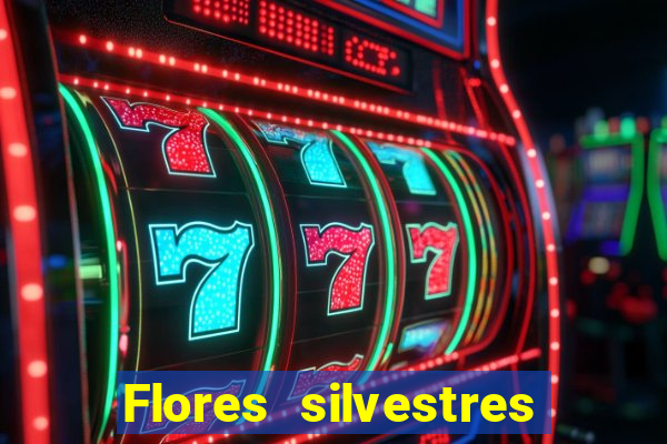 Flores silvestres brasileiras brasileiras flores silvestres nomes e imagens