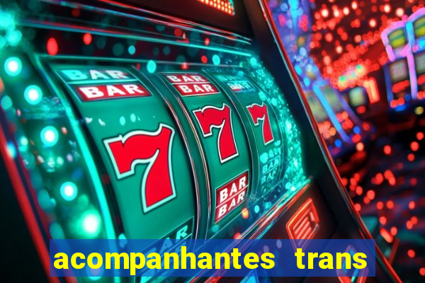 acompanhantes trans baixada fluminense
