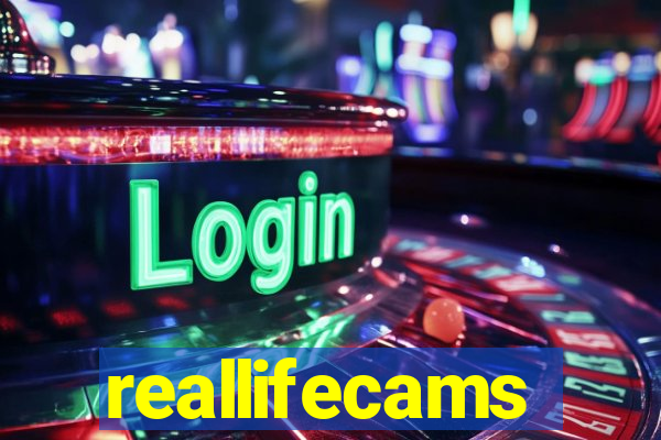 reallifecams
