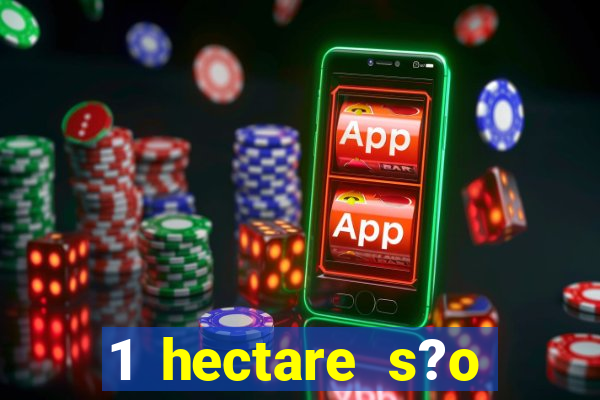 1 hectare s?o quantas tarefas na bahia