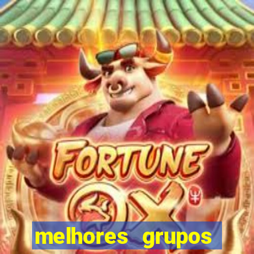 melhores grupos telegram +18