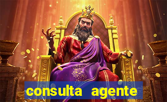 consulta agente autuador sp
