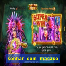 sonhar com macaco o que significa