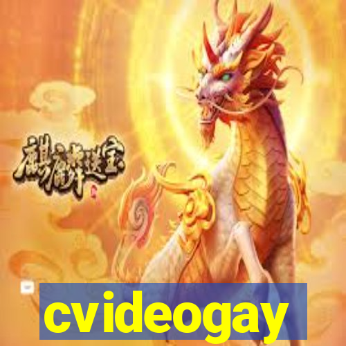 cvideogay