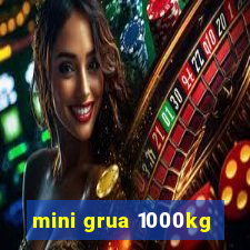 mini grua 1000kg