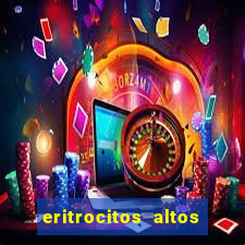 eritrocitos altos em gatos