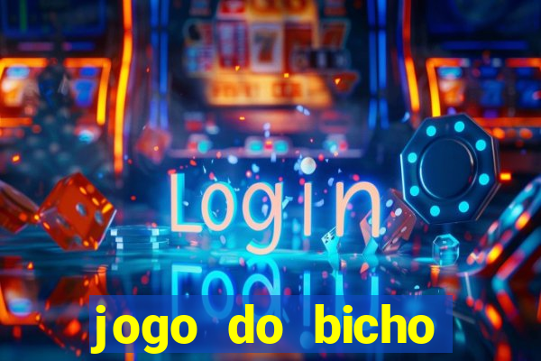 jogo do bicho documentario globoplay