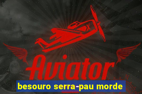 besouro serra-pau morde