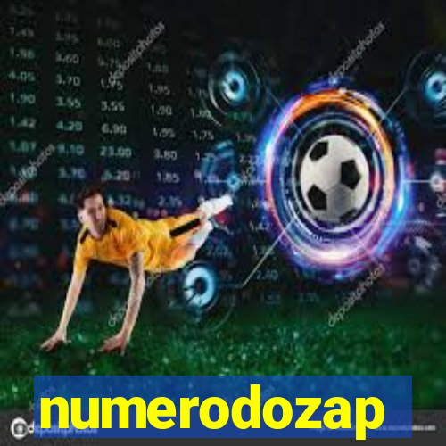 numerodozap