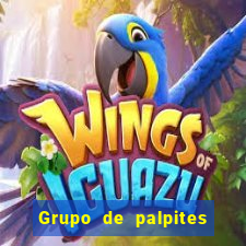 Grupo de palpites de futebol gratis