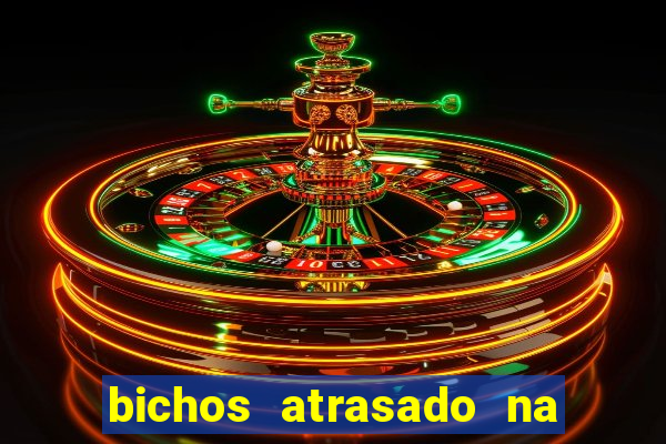 bichos atrasado na loteria dos sonhos