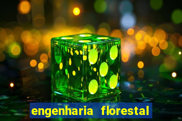 engenharia florestal ead cruzeiro do sul