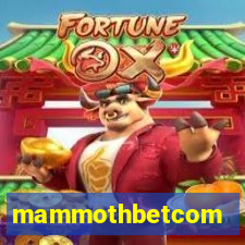 mammothbetcom
