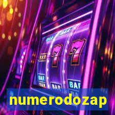 numerodozap