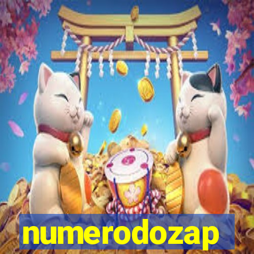 numerodozap