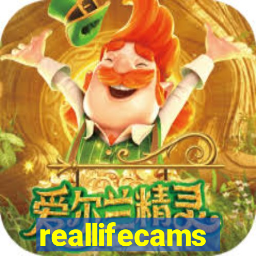 reallifecams