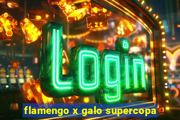 flamengo x galo supercopa