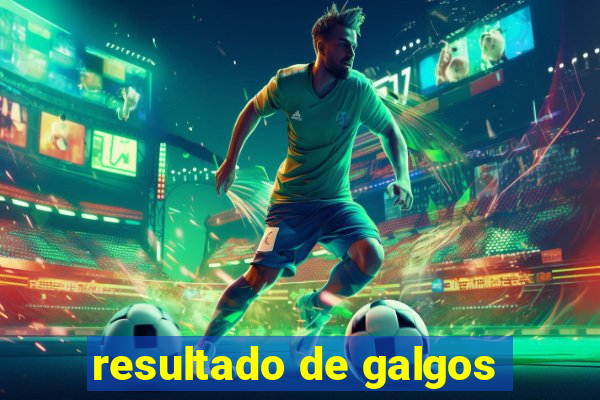 resultado de galgos